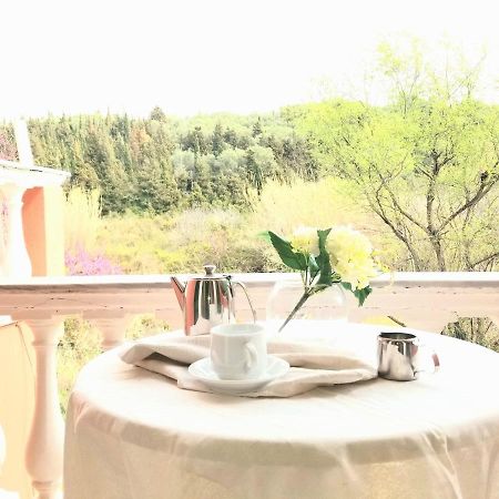 Апартаменты Corfu Escape Five Агиос-Георгиос-Пагон Экстерьер фото